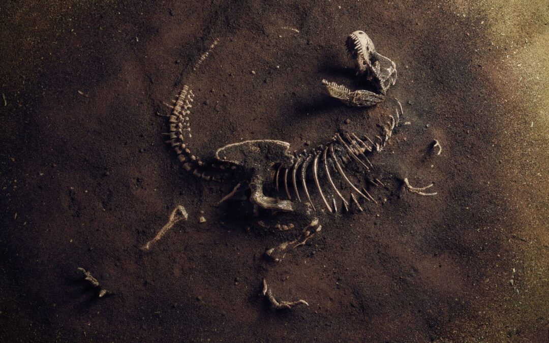 Hvad dinosaurfossiler kan lære os om kræft